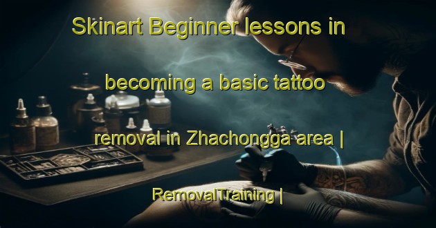 Skinart Beginner lessons in becoming a basic tattoo removal in Zhachongga area | RemovalTraining | RemovalClasses | SkinartTraining-China